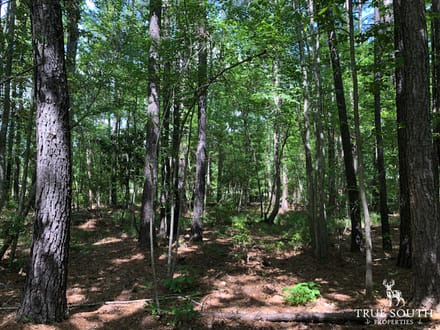 Hampton Midway Small Commercial Lot