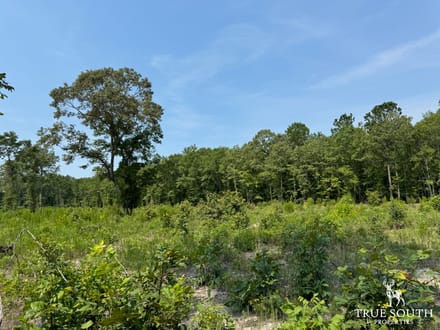 Buck Creek Tract