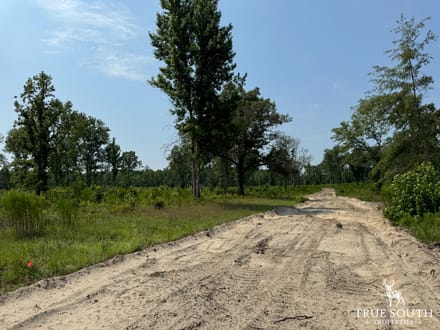 Buck Creek Tract
