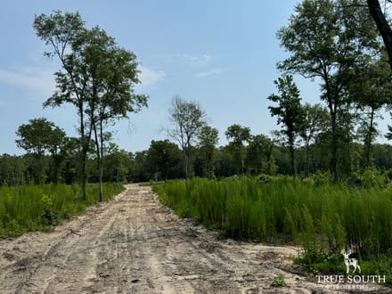Buck Creek Tract