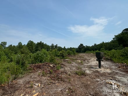 Buck Creek Tract
