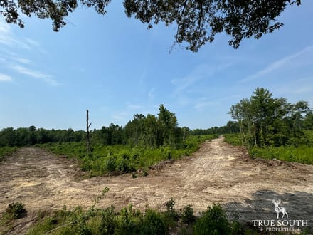 Buck Creek Tract