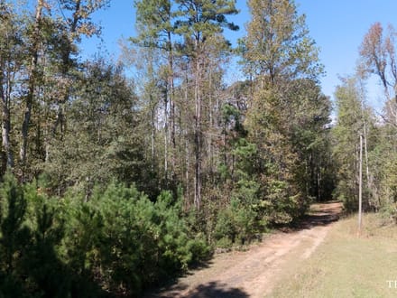 Coweta County Georgia/Grantville Lot For Sale