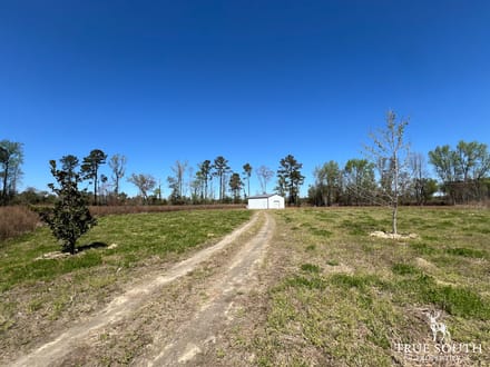Furman Southern Hampton Co. Country Acreage / Homesite