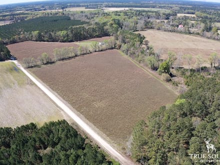 Furman Southern Hampton Co. Country Acreage / Homesite