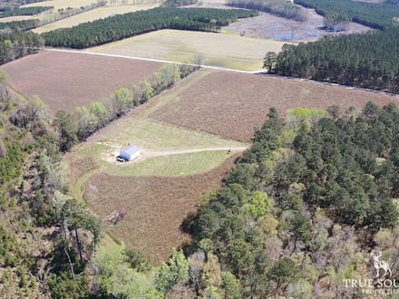 Furman Southern Hampton Co. Country Acreage / Homesite