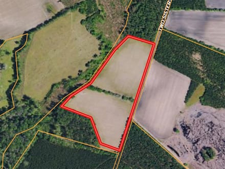 Furman Southern Hampton Co. Country Acreage / Homesite
