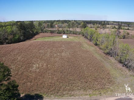 Furman Southern Hampton Co. Country Acreage / Homesite