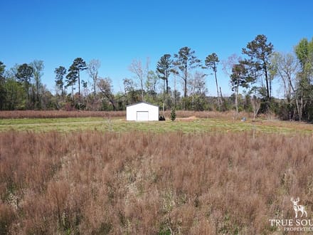 Furman Southern Hampton Co. Country Acreage / Homesite