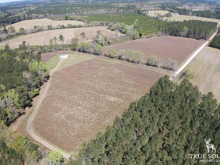 Furman Southern Hampton Co. Country Acreage / Homesite