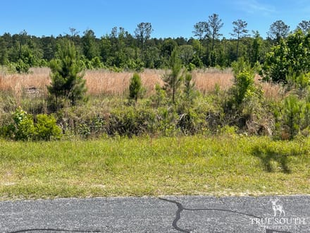 HAMPTON COUNTY / LOWCOUNTRY / FUTURE HOMESITE / LAND