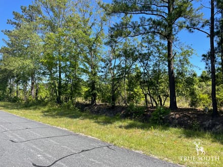 HAMPTON COUNTY / LOWCOUNTRY / FUTURE HOMESITE / LAND