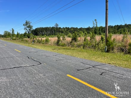 HAMPTON COUNTY / LOWCOUNTRY / FUTURE HOMESITE / LAND