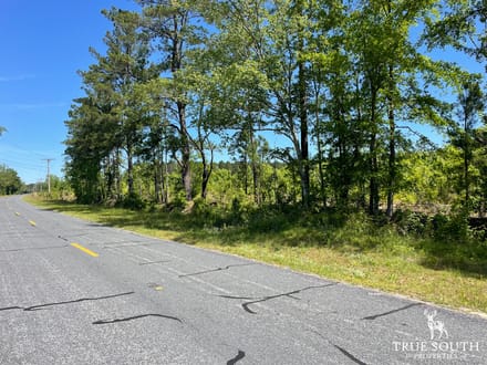 HAMPTON COUNTY / LOWCOUNTRY / FUTURE HOMESITE / LAND