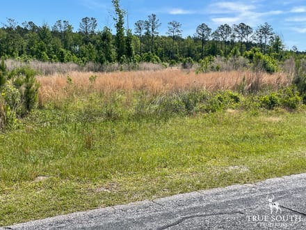 HAMPTON COUNTY / LOWCOUNTRY / FUTURE HOMESITE / LAND