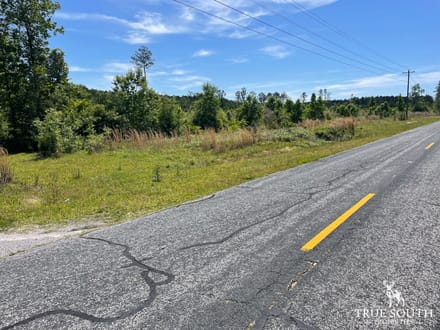 HAMPTON COUNTY / LOWCOUNTRY / FUTURE HOMESITE / LAND