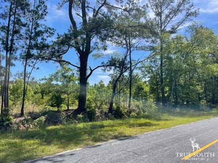 HAMPTON COUNTY / LOWCOUNTRY / FUTURE HOMESITE / LAND