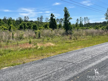 HAMPTON COUNTY / LOWCOUNTRY / FUTURE HOMESITE / LAND
