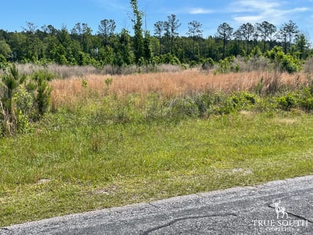 HAMPTON COUNTY / LOWCOUNTRY / FUTURE HOMESITE / LAND
