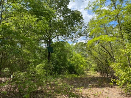 North Hunting / Timber / Recreational Land