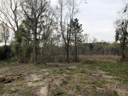 Dale 10 Ac Open Land Rural Residential