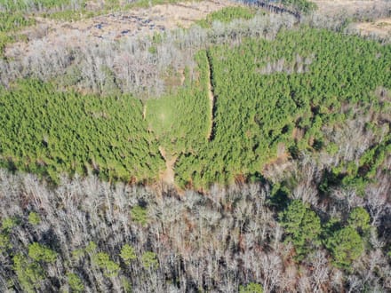 Estill SC Hunting / Timber / Recreational Land