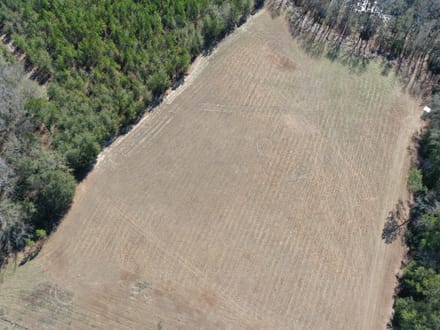 Estill SC Hunting / Timber / Recreational Land