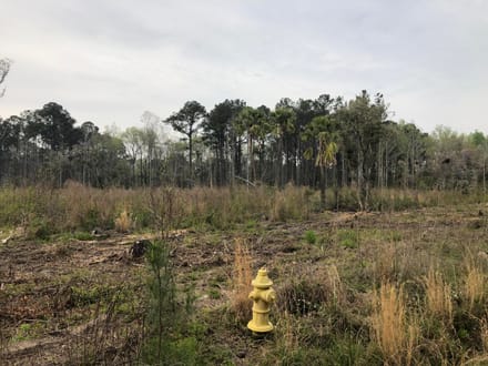 Dale 10 Ac Open Land Rural Residential
