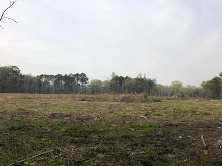Dale 10 Ac Open Land Rural Residential
