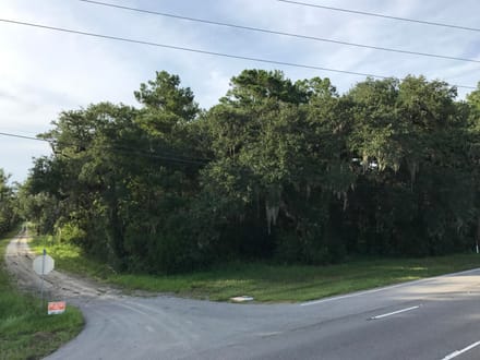 Hwy 17 Point South Waterfront Commercial