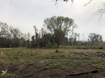 Dale 10 Ac Open Land Rural Residential