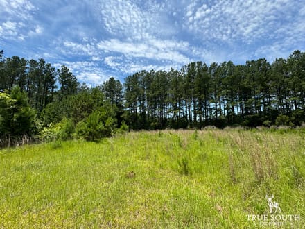 Future Homesite Lot For Sale Allendale County