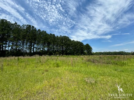 Future Homesite Lot For Sale Allendale County