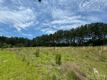 Lot For Sale Allendale County