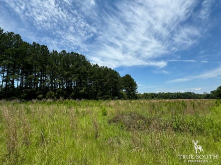Lot For Sale Allendale County
