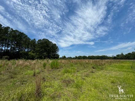 Lot For Sale Allendale County