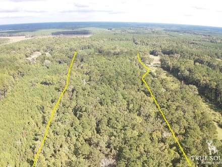 Pineland/ Jasper Country Retreat Land