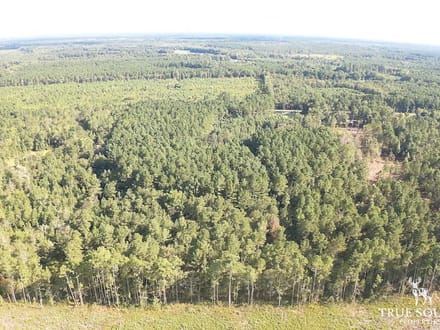 Cummings Hampton Co. Timber Land w/ Pond