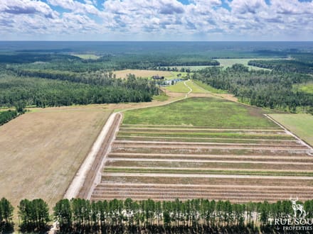 BILT MAC FARM - SC LOWCOUNTRY TURN-KEY ESTATE