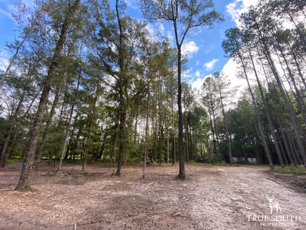 Pineland/ Jasper Country Retreat Land