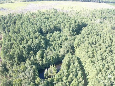 Cummings Hampton Co. Timber Land w/ Pond