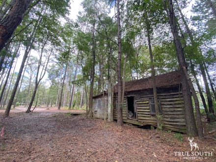 Pineland/ Jasper Country Retreat Land