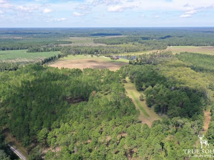 BILT MAC FARM - SC LOWCOUNTRY TURN-KEY ESTATE