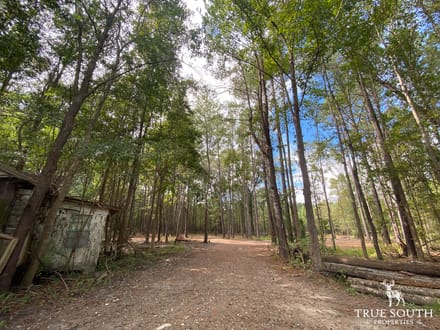 Pineland/ Jasper Country Retreat Land