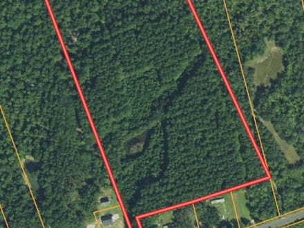 Cummings Hampton Co. Timber Land w/ Pond