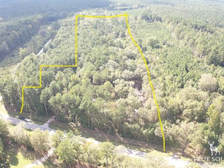 Pineland/ Jasper Country Retreat Land