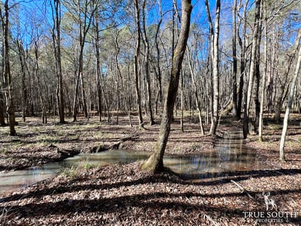 COW FIELD FARM - GA RANCH / PASTURE LAND WITH TIMBER & PONDS