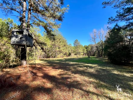 COW FIELD FARM - GA RANCH / PASTURE LAND WITH TIMBER & PONDS