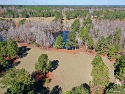 COW FIELD FARM - GA RANCH / PASTURE LAND WITH TIMBER & PONDS