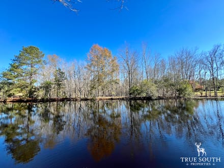 COW FIELD FARM - GA RANCH / PASTURE LAND WITH TIMBER & PONDS